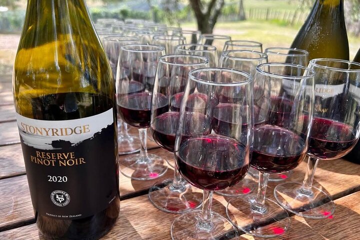 Auckland: Waiheke Island Seafront lunsj og premium vin tur
