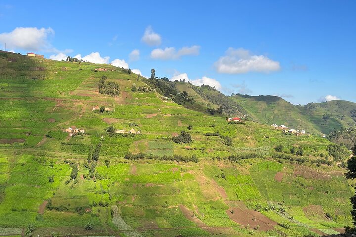 Hoteller i nærheden af Kisoro Western Region Tour by Hiking