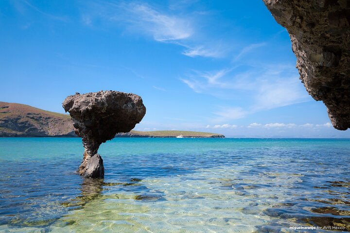 La Paz City Tour con Playa Balandra y Pueblo Mágico Todos Santos