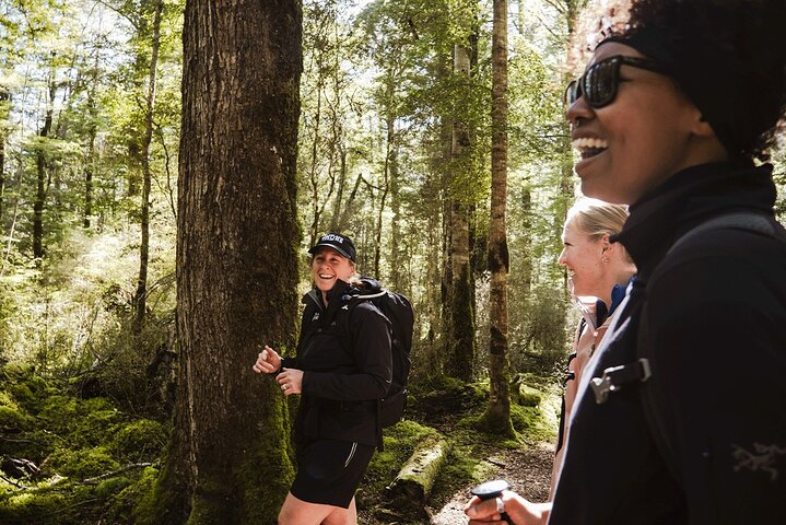 Prisvindende Milford Sound Full Day Tour & Cruise fra Te Anau