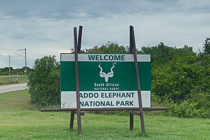 Excursion d'une demi-journée au parc national Addo Elephant de Port Elizabeth