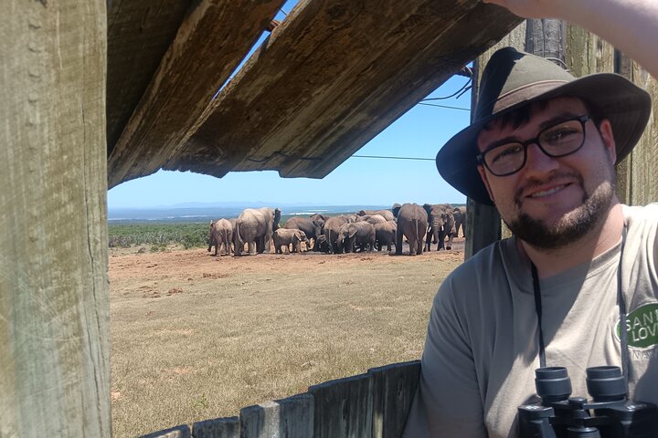 Excursion d'une demi-journée au parc national Addo Elephant de Port Elizabeth