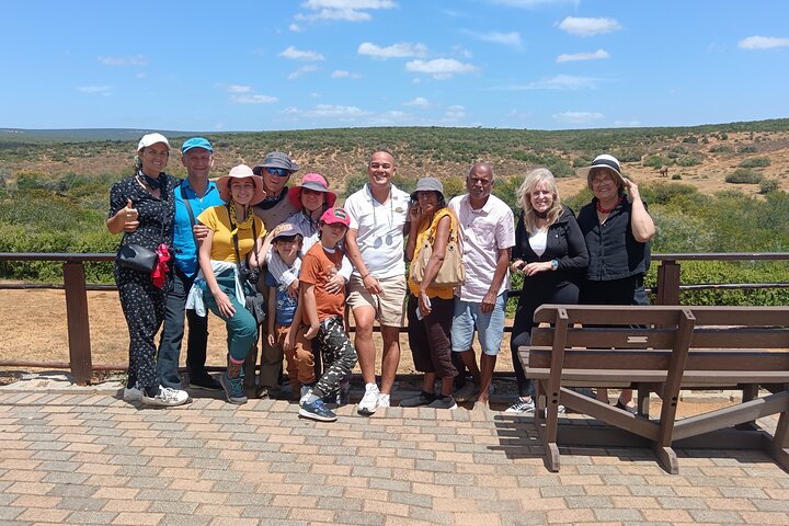 Excursion d'une demi-journée au parc national Addo Elephant de Port Elizabeth