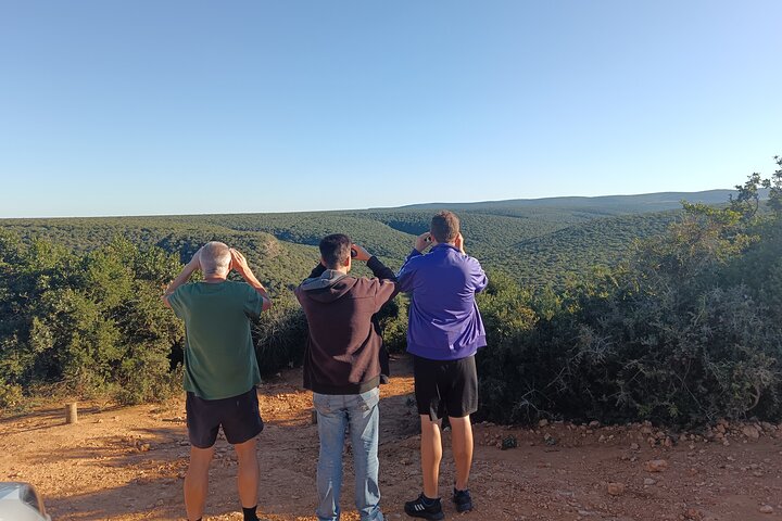 Excursion d'une demi-journée au parc national Addo Elephant de Port Elizabeth