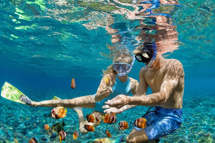 Nha Trang Bay: Private Half-Day Snorkeling Tour at Coral Reef