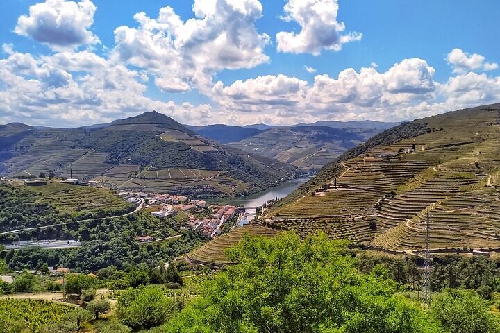 Régua : Prime Douro Valley Tour : 9 viner, Trad. Lunsj & privat. Båt