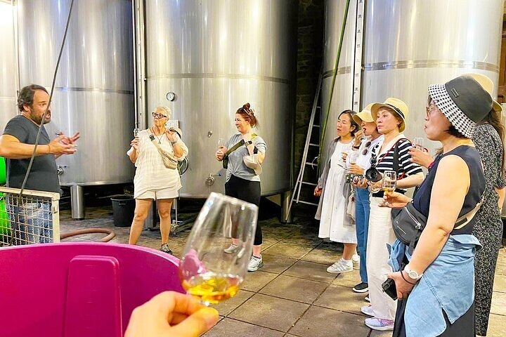 Régua : Prime Douro Valley Tour : 9 viner, Trad. Lunsj & privat. Båt