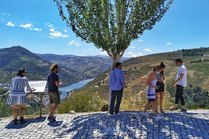 Régua : Prime Douro Valley Tour : 9 viner, Trad. Lunsj & privat. Båt