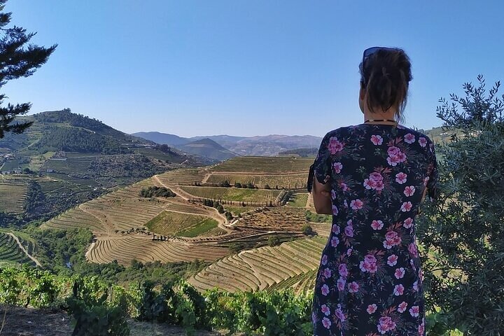 Régua : Prime Douro Valley Tour : 9 viner, Trad. Lunsj & privat. Båt