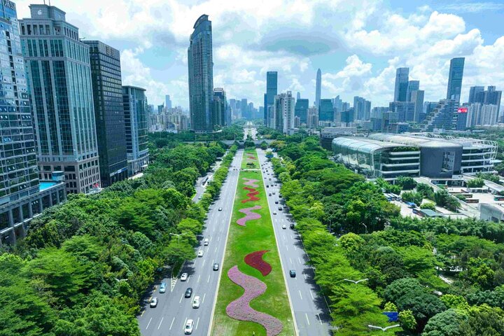 Visite privée d'une journée à Shenzhen avec service de voiture Tech + Culture + Shopping