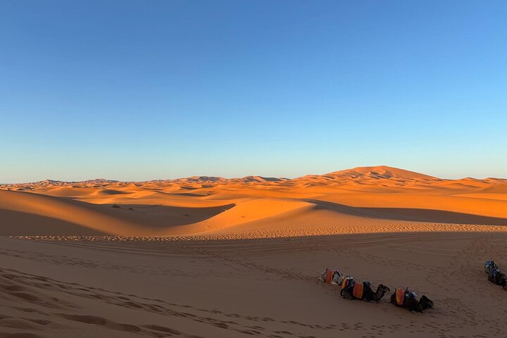4 - Dagstur i ørkenen fra Fes til Marrakech med Camel Ride