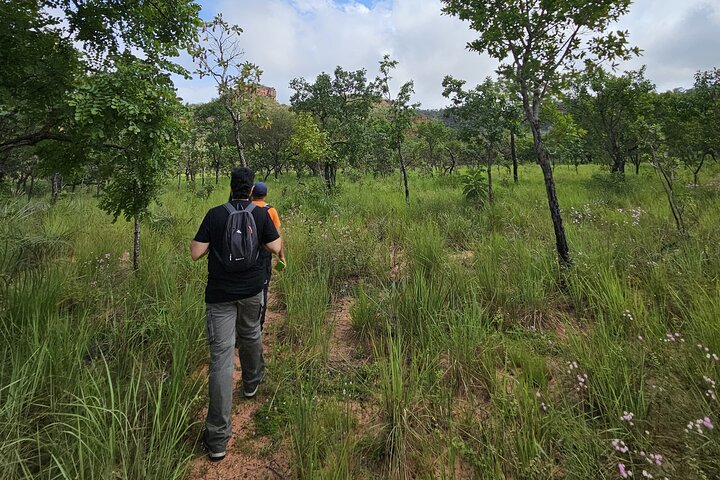 7 días en la naturaleza y la cultura de Chapada das Mesas