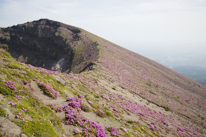 Aktiv vulkanvandringstur: Mt. Shinmoe, Miyazaki–Kagoshima,Japan