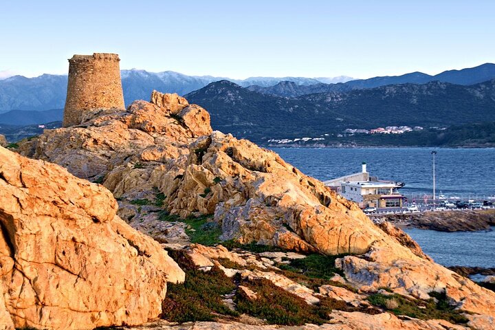 Descoberta da Ilha Rousse e degustação de vinhos do porto de cruzeiro de Calvi