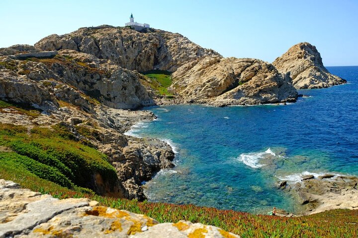 Descoberta da Ilha Rousse e degustação de vinhos do porto de cruzeiro de Calvi
