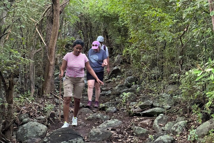 Mount Alma Hike And Beach Excursion (cruise ship friendly )
