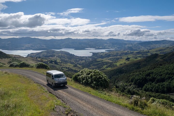 Tour Privado Naturaleza e Historia de Akaroa - La 7a Generación