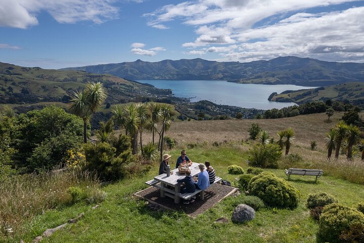 Tour Privado Naturaleza e Historia de Akaroa - La 7a Generación