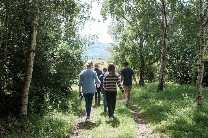 Tour Privado Naturaleza e Historia de Akaroa - La 7a Generación