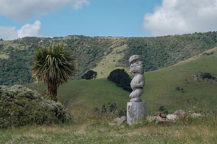 Tour Privado Naturaleza e Historia de Akaroa - La 7a Generación
