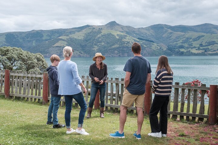 Tour Privado Naturaleza e Historia de Akaroa - La 7a Generación