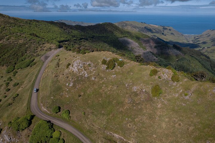 Tour Privado Naturaleza e Historia de Akaroa - La 7a Generación