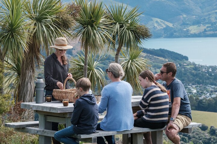 Tour Privado Naturaleza e Historia de Akaroa - La 7a Generación