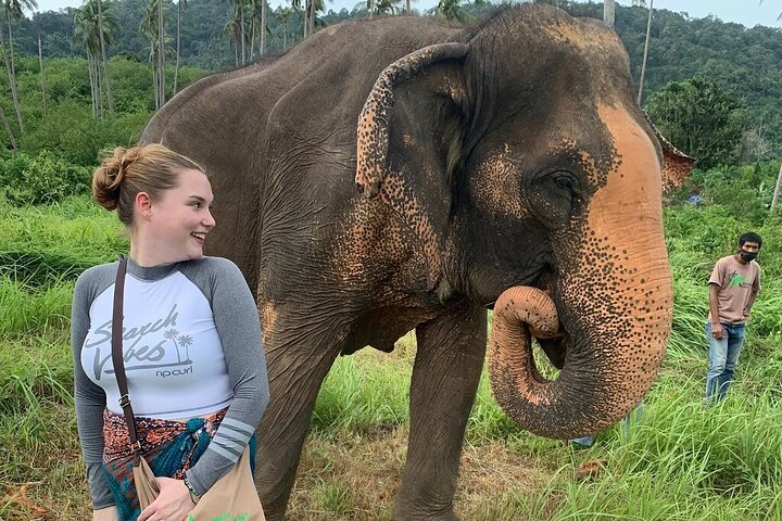 Koh Samui : Elephant Nature Care, il più grande santuario degli elefanti