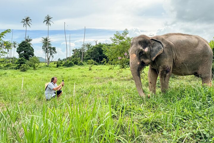 Koh Samui : Elephant Nature Care, il più grande santuario degli elefanti