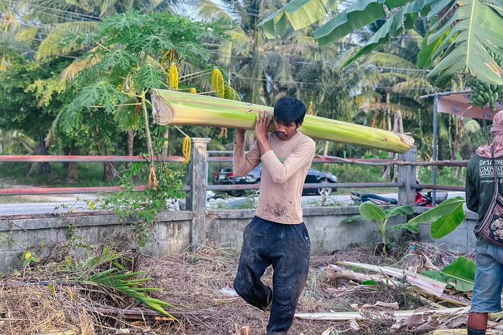 Koh Samui : Elephant Nature Care, il più grande santuario degli elefanti