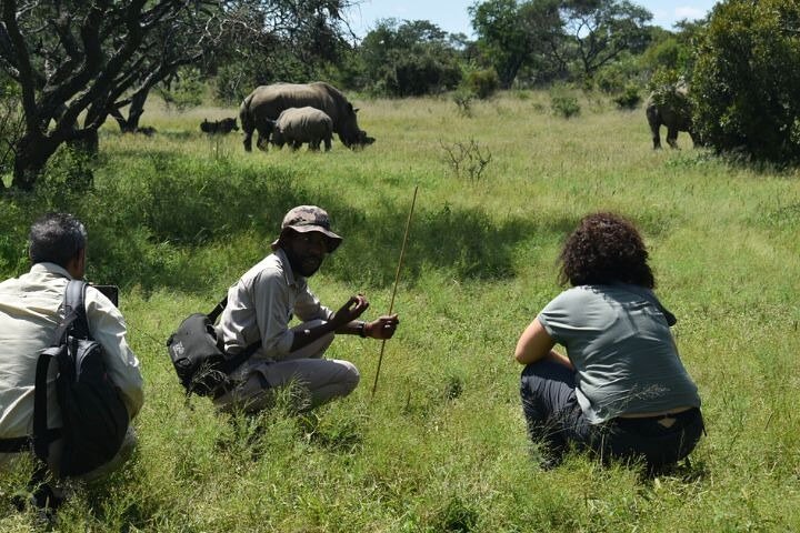 Rastreo de rinocerontes de Matobo y arte rupestre desde Bulawayo