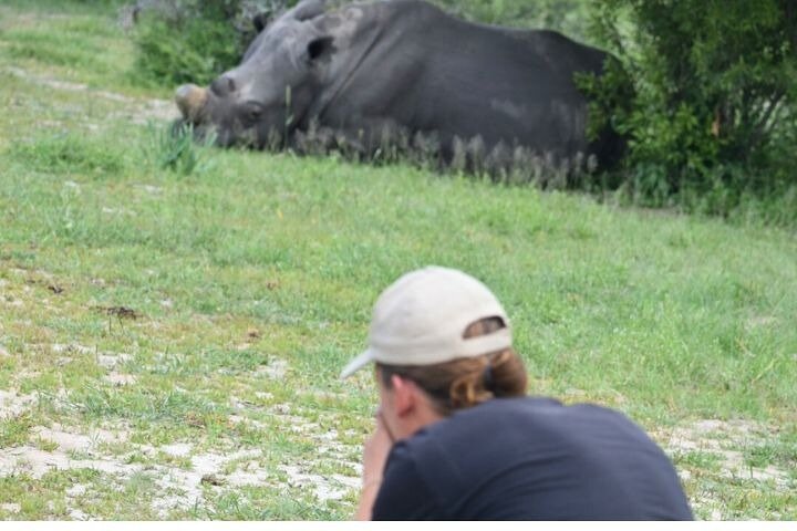Rastreo de rinocerontes de Matobo y arte rupestre desde Bulawayo