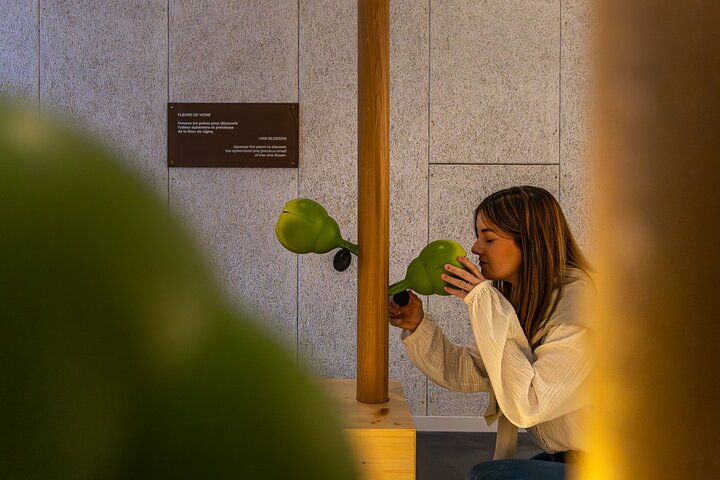 Biglietto d'ingresso a Pressoria nel cuore della Champagne con Degustazione