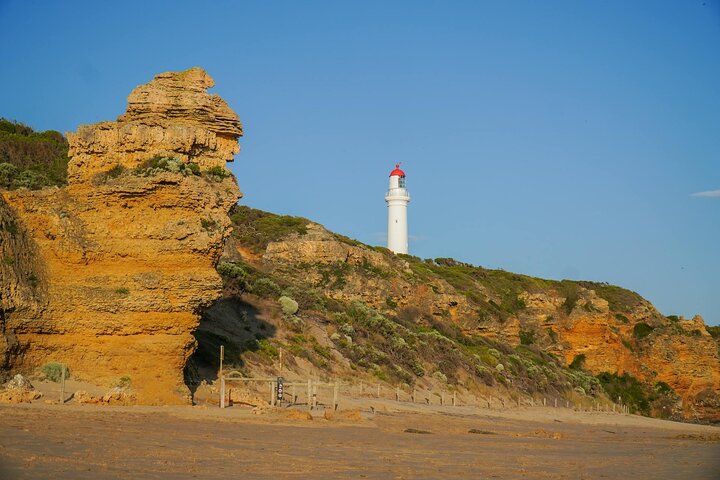 Great Ocean Road Discovery Tour - 12 apostler og Golden Hour underverk