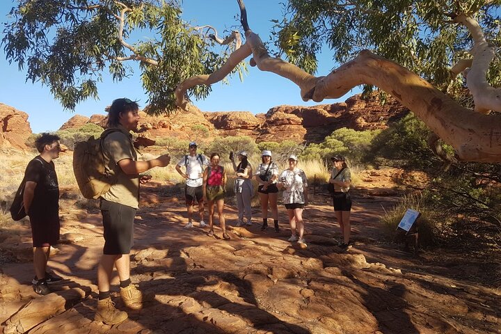 Uluru, Kata Tjuta y Kings Canyon Camping Safari de Ayers Rock