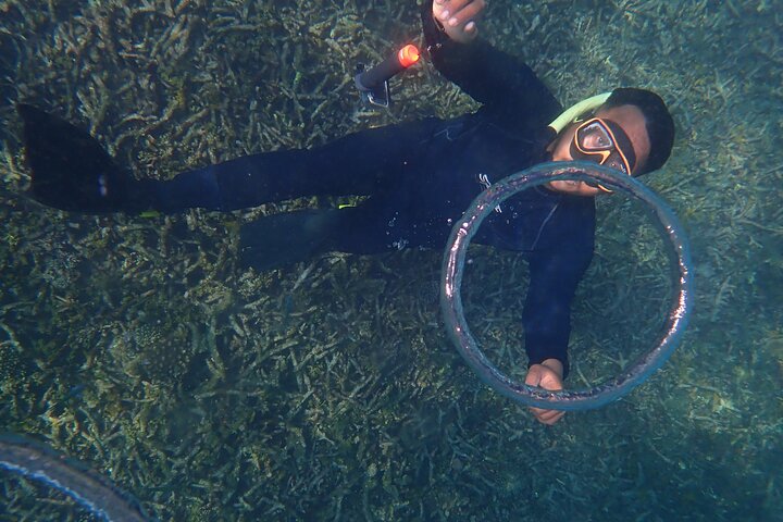 Aventura de snorkel de día completo alrededor de Koh Tao