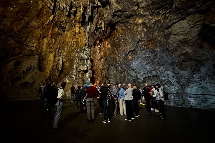 Alicante:Cuevas del Canelobre y Castillo de Busot con Guía Local