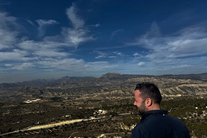 Alicante:Cuevas del Canelobre y Castillo de Busot con Guía Local