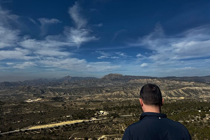 Alicante:Cuevas del Canelobre y Castillo de Busot con Guía Local
