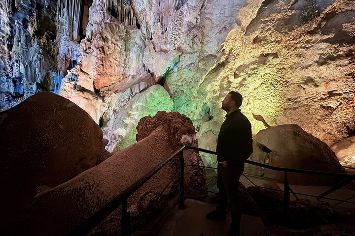 Alicante:Cuevas del Canelobre y Castillo de Busot con Guía Local
