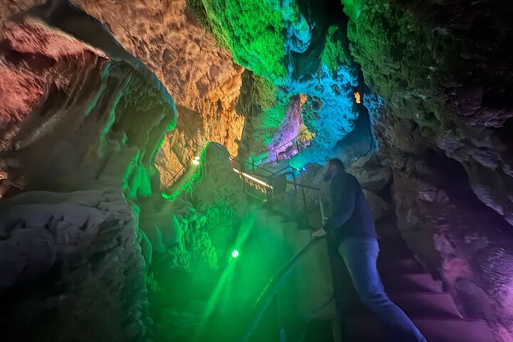 Alicante:Cuevas del Canelobre y Castillo de Busot con Guía Local
