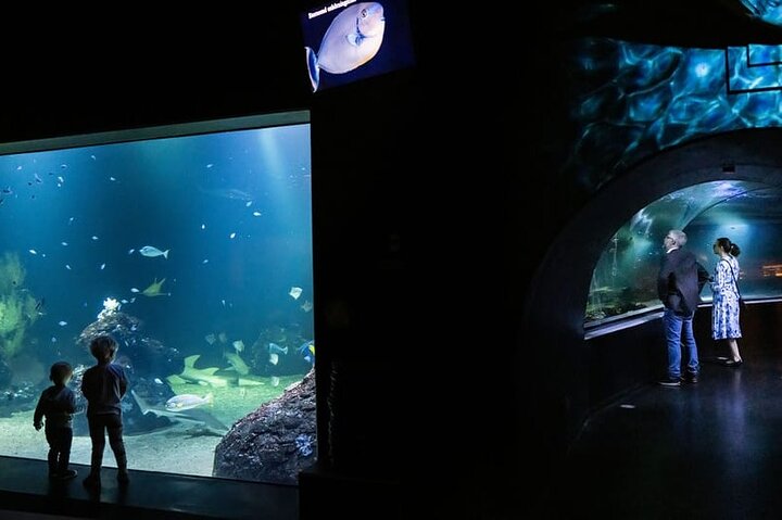 Göteborg Universeum biljett - Akvarium, Vetenskap, Djurliv, Djurpark
