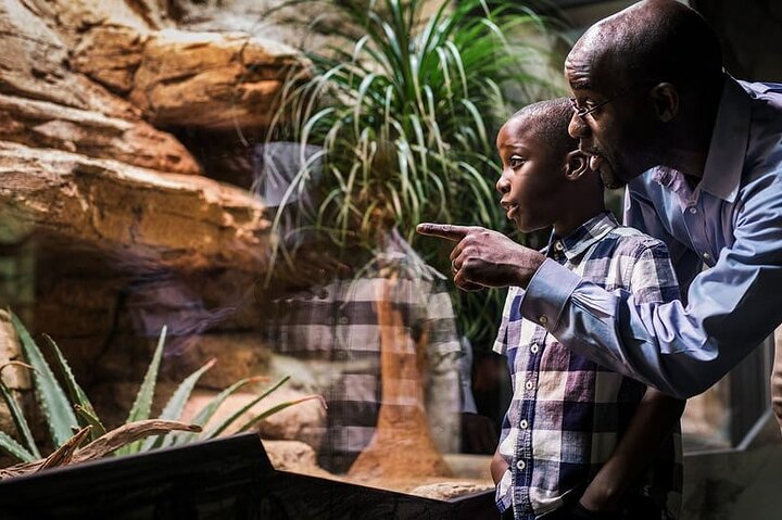 Göteborg Universeum biljett - Akvarium, Vetenskap, Djurliv, Djurpark