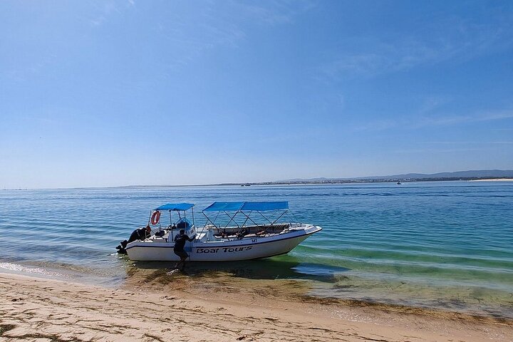 Ria Formosa - Passeio de barco pelas 3 Ilhas: Armona | Ilha da Culatra | Farol