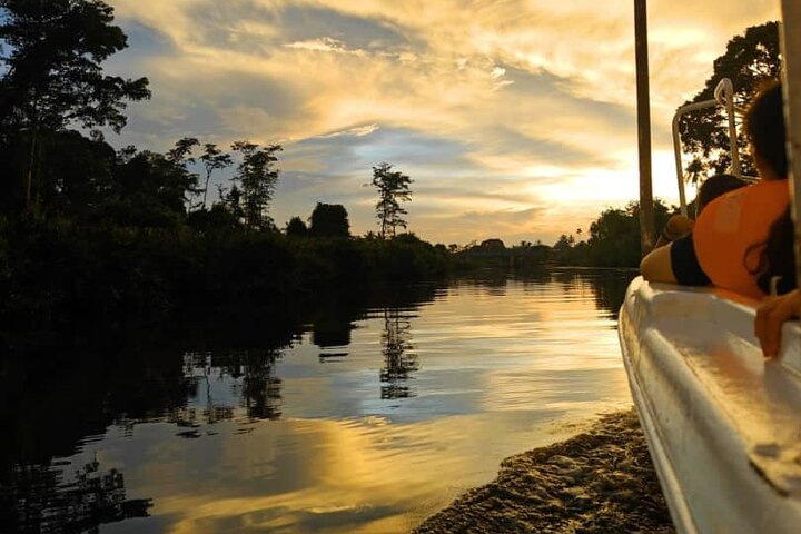 Cruzeiro pelo rio Borneo (Klias) e passeio pelos vaga-lumes