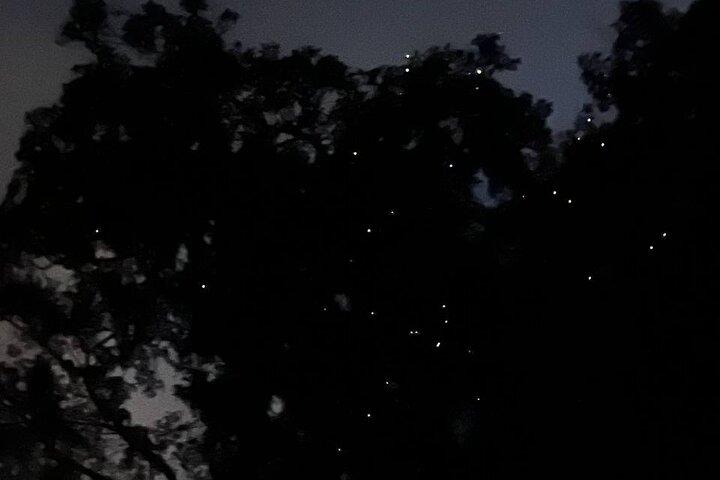 Cruzeiro pelo rio Borneo (Klias) e passeio pelos vaga-lumes