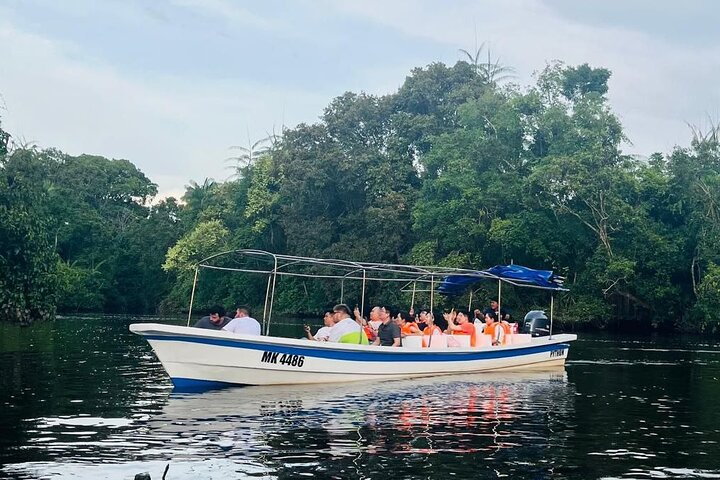 Cruzeiro pelo rio Borneo (Klias) e passeio pelos vaga-lumes