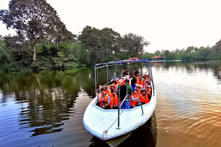 Cruzeiro pelo rio Borneo (Klias) e passeio pelos vaga-lumes