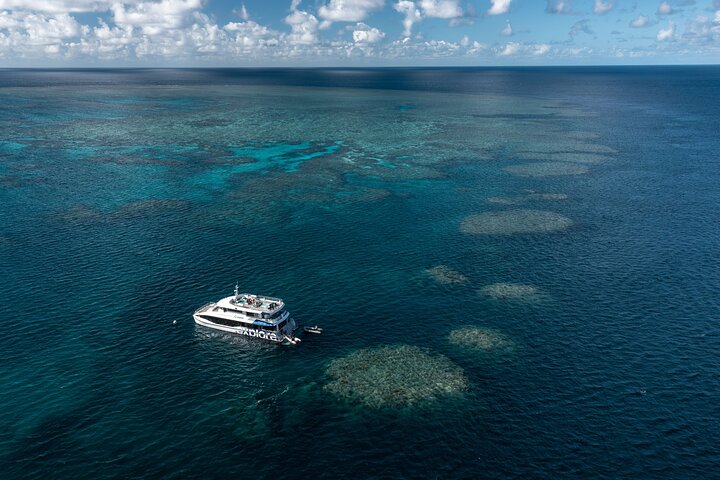Snorkeling di un'intera giornata sulla Grande Barriera Corallina da Hamilton Island