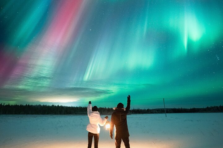 Rovaniemi : Norrskensjakt Max 8 + Proffs foton och 100% återbetalning